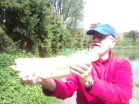 ein Bild aus dem Album