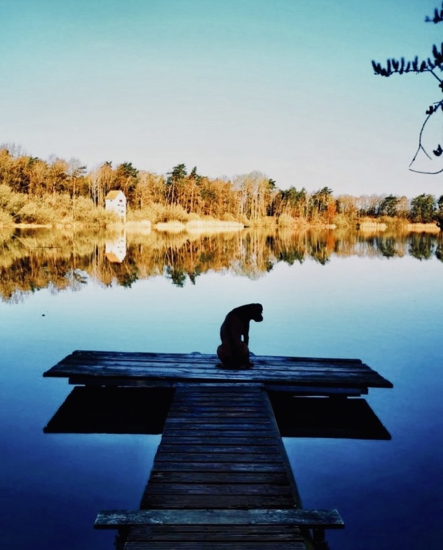 Profilbild von Michael Schwarz