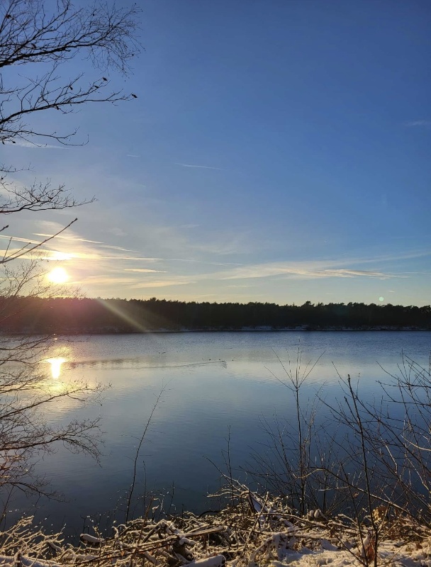 Profilbild von Rudolf Schneiders